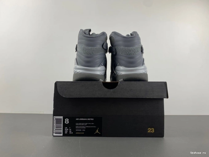 305381-014    8 Retro Jordan 0809
